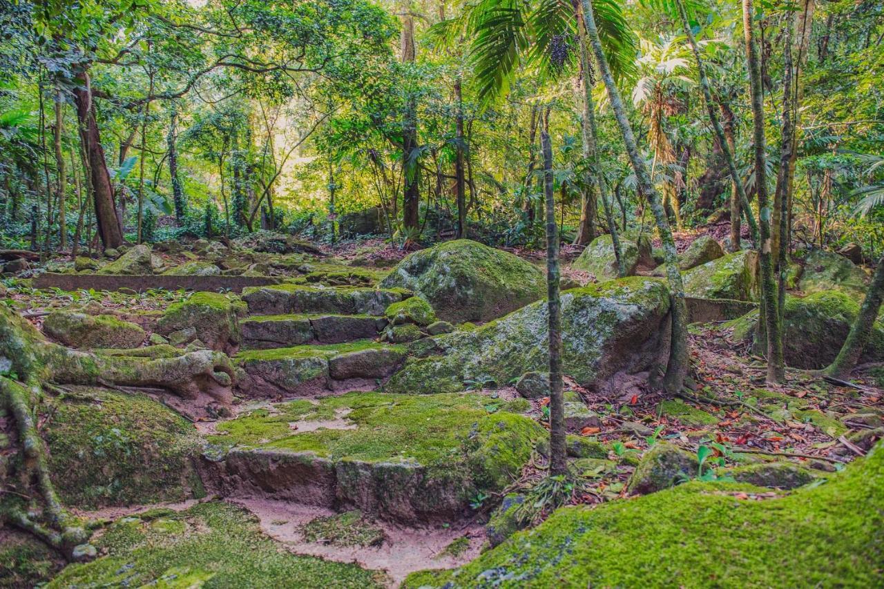 Sitio Serra Orgaos Com Rio Aguas Cristalinas Guapimirim Exterior foto