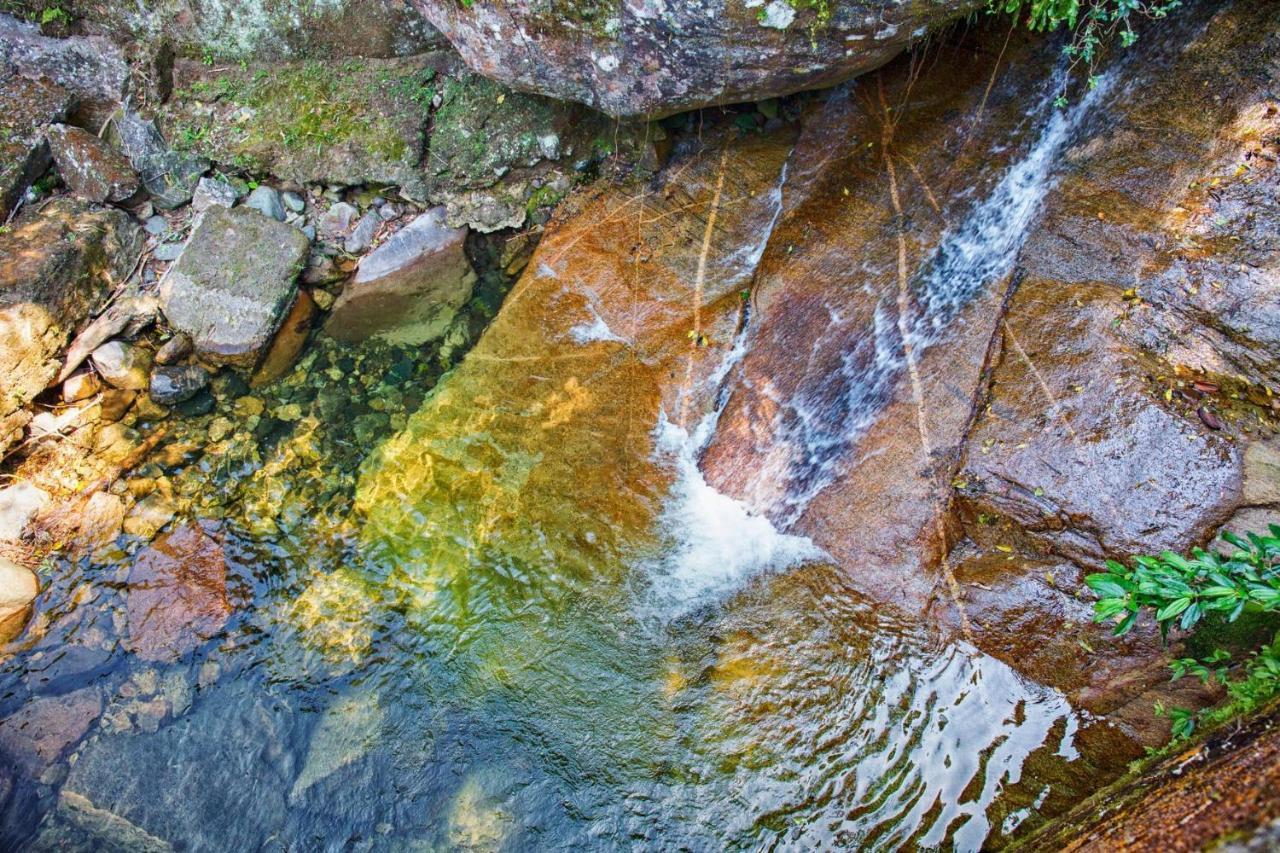 Sitio Serra Orgaos Com Rio Aguas Cristalinas Guapimirim Exterior foto